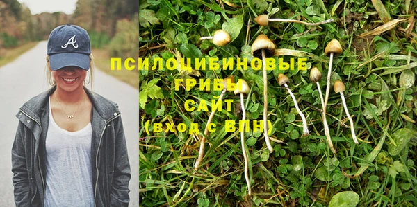jwh Верхний Тагил