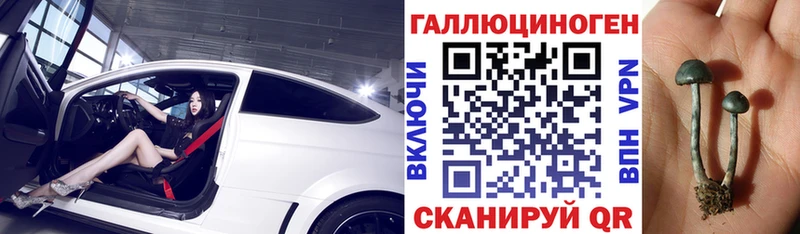 Псилоцибиновые грибы Cubensis  цена   Коломна 